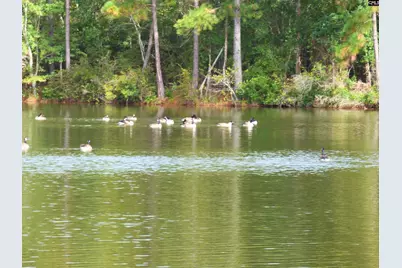 518 Saddle Drive, Camden, SC 29020 - Photo 5