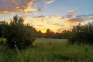 0 Winnie Rd, Other, SC 29581 - Photo 3