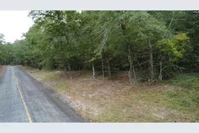 Tbd Holiness Church Road, Wagener, SC 29164 - Photo 5