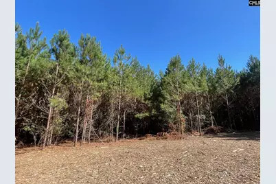 1938 Old Georgetown Road W #1, Cassatt, SC 29032 - Photo 1