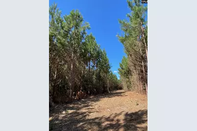 1938 Old Georgetown Road W #3, Camden, SC 29032 - Photo 5