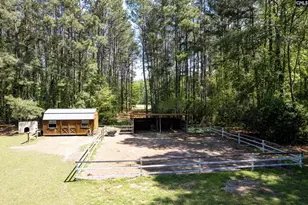 2102 Williams Rd, Ruffin, SC 29475 - Photo 53