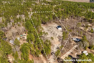 132 Hooker Street, Pelion, SC 29123 - Photo 3