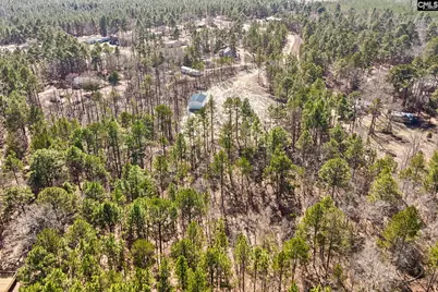 132 Hooker Street, Pelion, SC 29123 - Photo 9