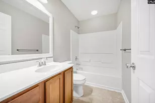 153 Pennsylvania Ct, Chapin, SC 29036 - Photo 35