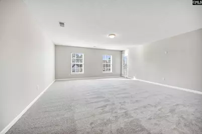 153 Pennsylvania Court, Chapin, SC 29036 - Photo 25