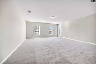 153 Pennsylvania Ct, Chapin, SC 29036 - Photo 25