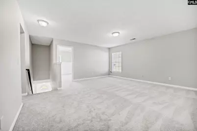 153 Pennsylvania Court, Chapin, SC 29036 - Photo 21