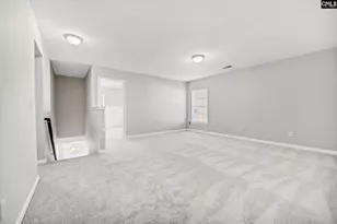 153 Pennsylvania Ct, Chapin, SC 29036 - Photo 21