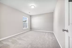 153 Pennsylvania Ct, Chapin, SC 29036 - Photo 33