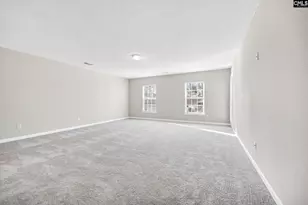 153 Pennsylvania Ct, Chapin, SC 29036 - Photo 23