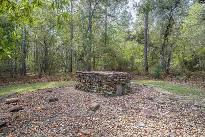 240 Jeter Road, Gilbert, SC 29054 - Photo 45