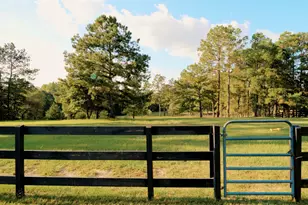 78 Foxwood, Camden, SC 29020 - Photo 55