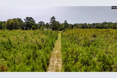 0 Prairie Court, North, SC 29112 - Photo 9