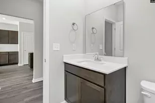 329 Pinaster Path, West Columbia, SC 29170 - Photo 19