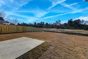329 Pinaster Path, West Columbia, SC 29170 - Photo 43