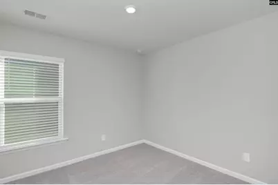 329 Pinaster Path, West Columbia, SC 29170 - Photo 23