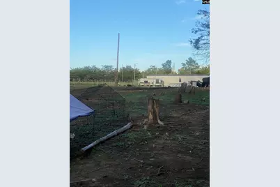 1253 Sam Koon Road, Chapin, SC 29036 - Photo 19