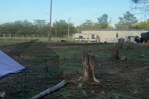 1253 Sam Koon Rd, Chapin, SC 29036 - Photo 19