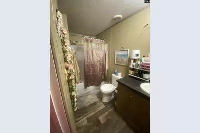 1253 Sam Koon Road, Chapin, SC 29036 - Photo 37