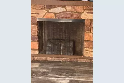 1253 Sam Koon Road, Chapin, SC 29036 - Photo 29