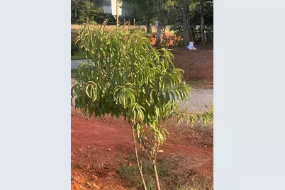 1253 Sam Koon Road, Chapin, SC 29036 - Photo 5