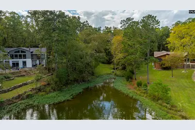 501 Canasta Drive, Gilbert, SC 29054 - Photo 5