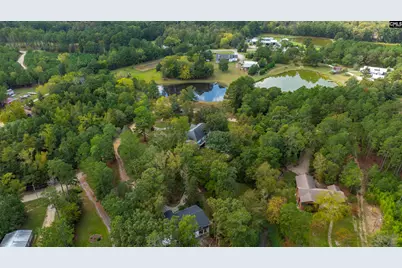 501 Canasta Drive, Gilbert, SC 29054 - Photo 3