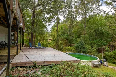 501 Canasta Drive, Gilbert, SC 29054 - Photo 49