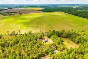 728 Jeff Sharpe Rd, Gaston, SC 29053 - Photo 35