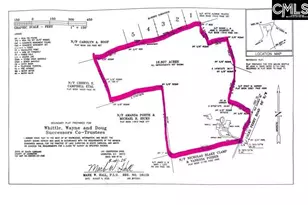 1356 Calks Ferry Rd, Lexington, SC 29072 - Photo 55