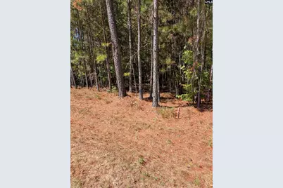 00 Mann Road #B, Winnsboro, SC 29180 - Photo 17