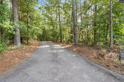 161 Dutchman Shores Circle, Chapin, SC 29036 - Photo 49