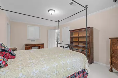 161 Dutchman Shores Circle, Chapin, SC 29036 - Photo 39