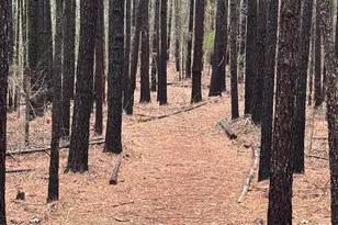 1008 Jones Rd, Irmo, SC 29063 - Photo 41