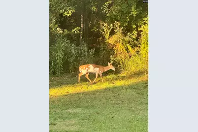 1008 Jones Road, Irmo, SC 29063 - Photo 37