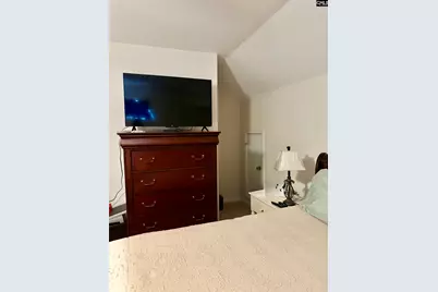 174 Preston Green Drive, Columbia, SC 29209 - Photo 21