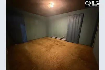 729 Shelton Ferry Road, Whitmire, SC 29178 - Photo 5