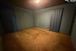 729 Shelton Ferry Rd, Whitmire, SC 29178 - Photo 5