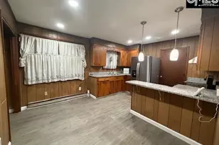 729 Shelton Ferry Rd, Whitmire, SC 29178 - Photo 3