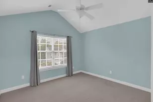 704 Millplace Loop, Irmo, SC 29063 - Photo 37