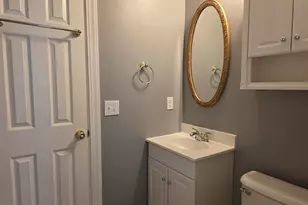 313 Aiken Hunt Cir, Columbia, SC 29223 - Photo 45