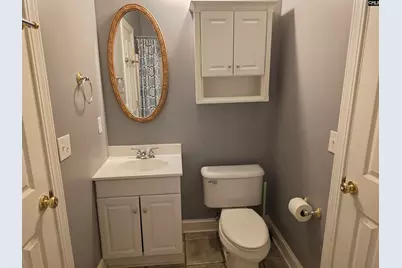 313 Aiken Hunt Circle, Columbia, SC 29223 - Photo 47