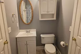 313 Aiken Hunt Cir, Columbia, SC 29223 - Photo 47