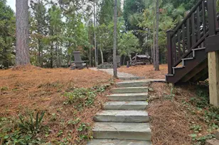 313 Aiken Hunt Cir, Columbia, SC 29223 - Photo 35