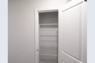 239 Watkin Way, Columbia, SC 29223 - Photo 17