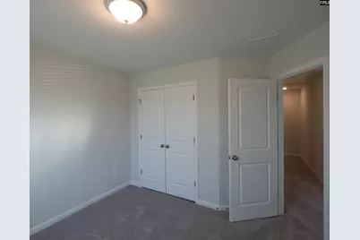 239 Watkin Way, Columbia, SC 29223 - Photo 19