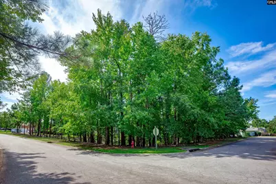 338 Lake Estate Drive, Chapin, SC 29036 - Photo 5