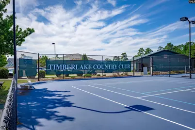 338 Lake Estate Drive, Chapin, SC 29036 - Photo 31