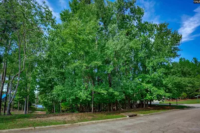 338 Lake Estate Drive, Chapin, SC 29036 - Photo 9